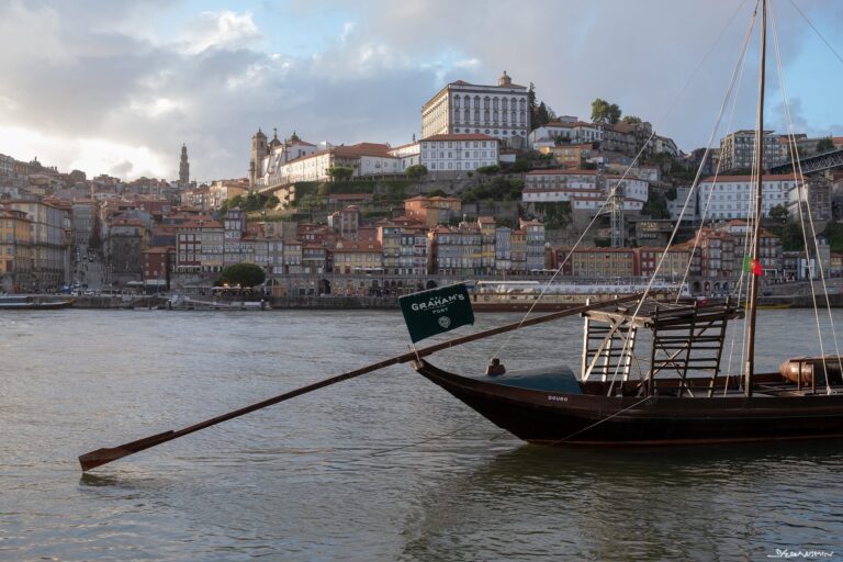 Porto 포르투 (1편): 렐루서점, 도로우 노천카페, GAIA 사진 명소