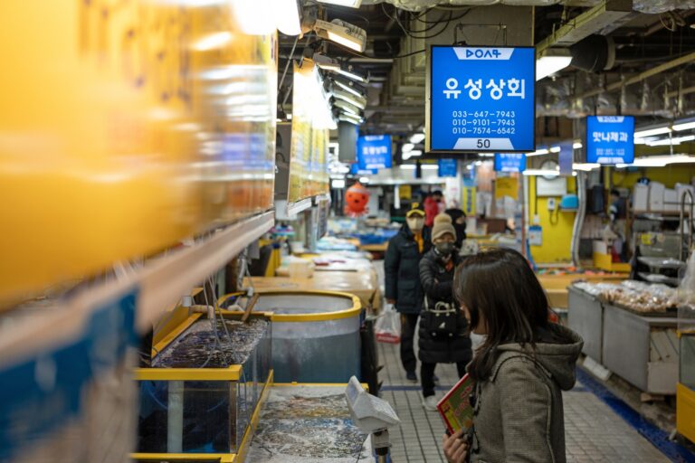 이토록 완벽한 강릉 당일 여행